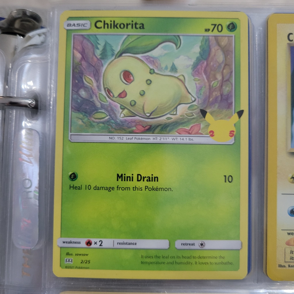 Pokemon Card Chikorita
